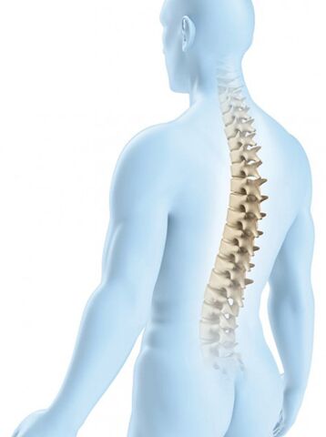 La blessure de la région thoracique est moins probable en raison de sa force physiologique